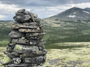 Varde i forgrunnen og et fjell i grønntoner i bakgrunnen