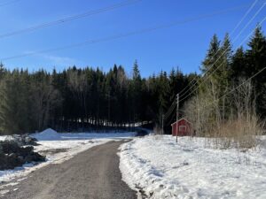Vårløsning langs skogvei, vårsol, minkende snø
